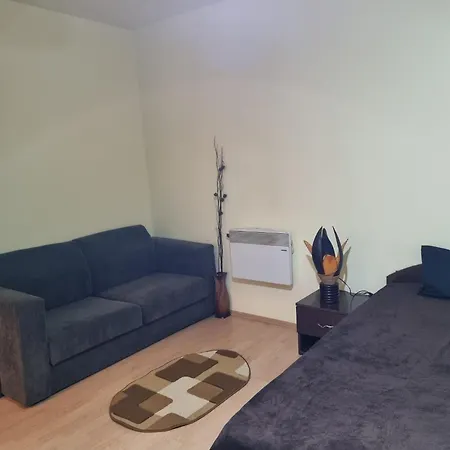Апартамент Ultracentral Calea Bucuresti *