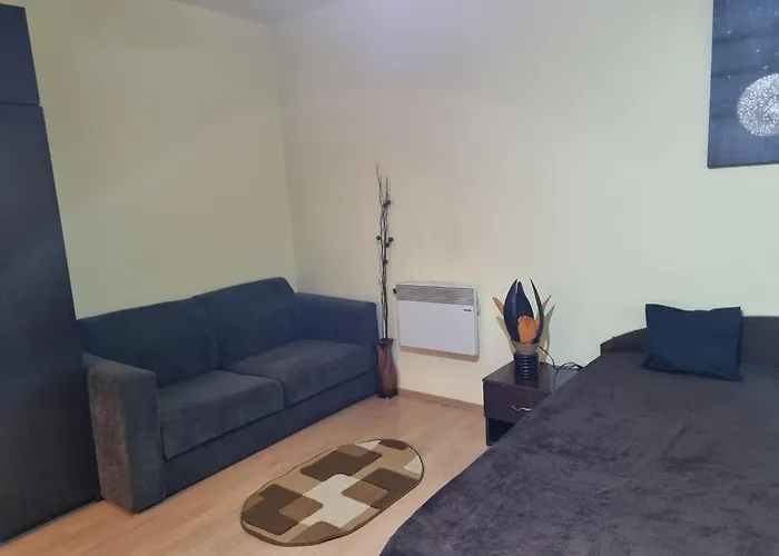 Διαμέρισμα Ultracentral Calea Bucuresti *